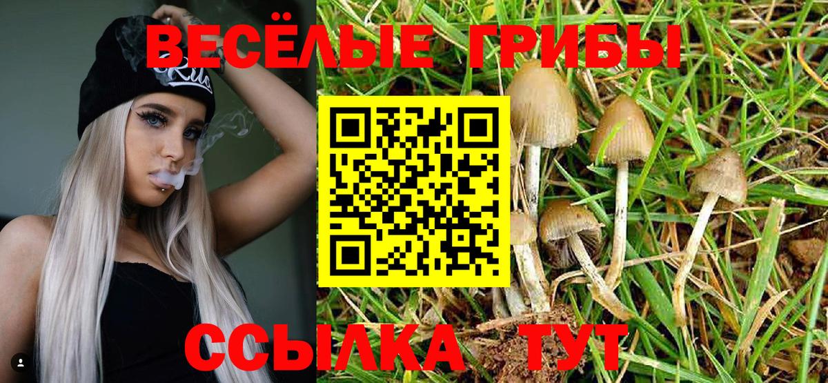 Галлюциногенные грибы GOLDEN TEACHER  Галлюциногенные грибы мухоморы  Вход с VPN  хочу   Бирск 